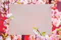 Paper blank between flowering almond branches in blossom. Pink flowers as a frame