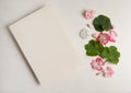 Paper blank, green leaves, white and pink pelargonium flowers on a white background. Free space for your text. Royalty Free Stock Photo