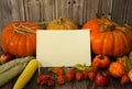 Paper blank, pumpkins, corn cobs, apples, physalis, Rowan berries and autumn leaves on a wooden background. Free space for your t Royalty Free Stock Photo