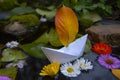 A paper boat floats in the dark water, and around bright flowers and fallen leaves Royalty Free Stock Photo