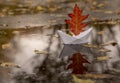 A paper boat floats in a puddle, instead of a sail it has a red oak autumn leaf. Royalty Free Stock Photo