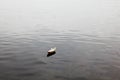 Paper boat on lake Royalty Free Stock Photo