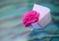 Paper boat pink rose water Royalty Free Stock Photo