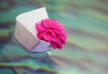 Paper boat pink rose water Royalty Free Stock Photo