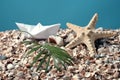 Paper boat on a placer of shells, starfish