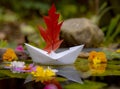 A paper boat with a red oak leaf instead of a sail is reflected in the water Royalty Free Stock Photo