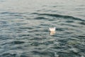 Paper boat sails on the sea on blue water surface. Royalty Free Stock Photo