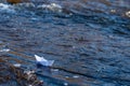 A paper boat on a turbulent stream of water struggles with the flow. Small paper boat is flowing along river Royalty Free Stock Photo