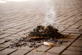 Paper book burns to ashes, on concrete tiles, manuscript burns, open book with fire Royalty Free Stock Photo