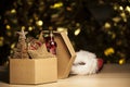 Paper box new year toy hat table gold bokeh Royalty Free Stock Photo