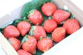 Paper box with red strawberry for sale in the fruit and vegetable market. Close up. Tasty seasonal fruit, fresh and heathy.