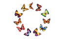 Paper Butterflies Royalty Free Stock Photo