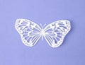 The Paper butterfly carve on a pulple background Royalty Free Stock Photo