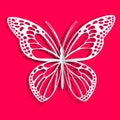 Paper butterfly. Moth of the white paper. Pink background. Vector Image.