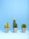 Paper cactuses on blue background. Royalty Free Stock Photo