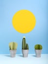 Paper cactuses and sun on blue background. Royalty Free Stock Photo