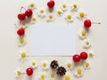 Paper, camomiles, cherry berries and fir cones on a ivory background. Top view, Mock up, Summer flat lay, place for text