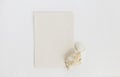 Paper card on white sand with sea shell Royalty Free Stock Photo