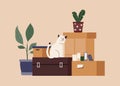 Paper cardboard boxes with stuff and cat for relocation