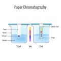 Paper chromatography analytical method for the separation of a mixture into its individual components Royalty Free Stock Photo
