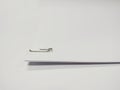 Paper clip holding a blank paper sheet on white background. Royalty Free Stock Photo