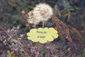 Paper cloud with text Time To Travel, white dandelions and dry autumn grass