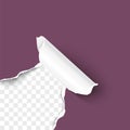 Paper corner torn hole corner of paper sheet with paper curl Royalty Free Stock Photo