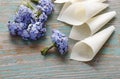 Paper cornets with forget-me-not flowers (Myosotis)