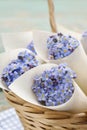 Paper cornets with forget-me-not flowers (Myosotis)