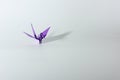 Paper crane in white background Royalty Free Stock Photo