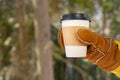 paper cup with a black lid in the hands of a woman in mittens