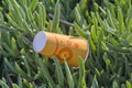 Paper cup in nature Royalty Free Stock Photo