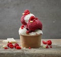White chocolat ice cream and raspberry sorbet Royalty Free Stock Photo
