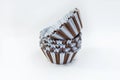 Paper cupcake Royalty Free Stock Photo