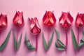 Paper cut art March 8 greeting card Paper cut tulips greeting card for International Women\'s Day Royalty Free Stock Photo