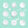 Paper cut flowers - set of modern vector colorful objects Royalty Free Stock Photo