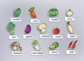 Freehand drawing vegetables,vector illustration.