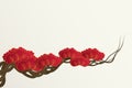 Paper cut style of plum blossom tree branch background for Chinese or Japanese design vector illustration. Royalty Free Stock Photo