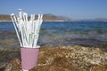 Paper drinking straws in paper cup outside on rocks next to sea Royalty Free Stock Photo