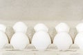 Paper Egg Tray with white eggs. chicken white eggs close up. farm chicken ecologic eggs Royalty Free Stock Photo