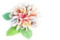 Paper flower ball Royalty Free Stock Photo