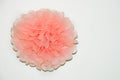 Paper flower. beautiful, delicate pompom. decoration for the interior. Royalty Free Stock Photo