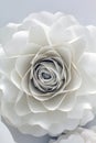 Paper Flower Design Royalty Free Stock Photo