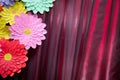 Paper flower. Glade of multi-colored flowers. Red curtain background . Valentine`s Day. Flowers of paper craft colorful backgroun Royalty Free Stock Photo