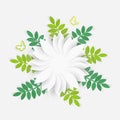 Paper flower with green leaves. White roses, lotus are cut out of paper on a white background Royalty Free Stock Photo