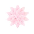 Paper flower lotus. isolated on white background. Vector illustration. Royalty Free Stock Photo