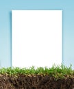 Paper frame in the grass