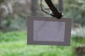 Paper frames hanging by woolen thread rope on the background of green leaves nature