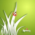 Paper grass with ladybug Royalty Free Stock Photo