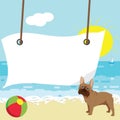 Paper hanging on a beach with a ball and a French Bulldog